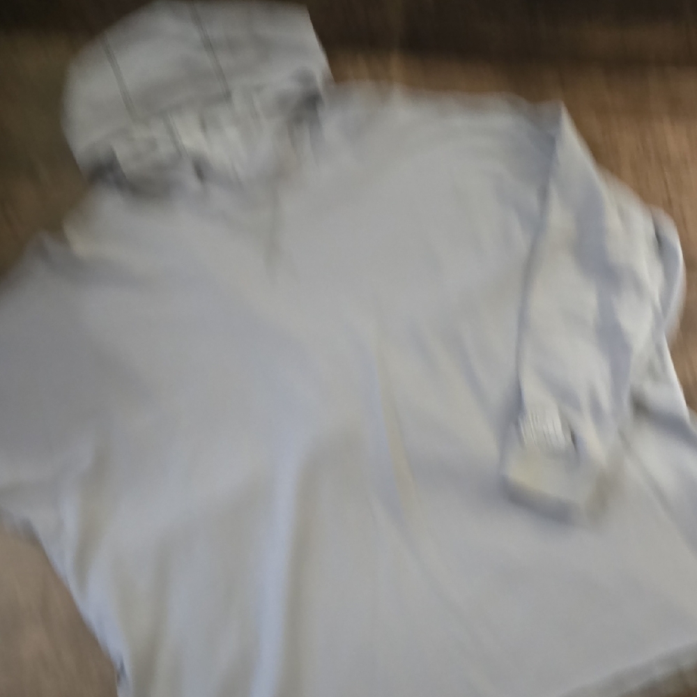 THE NORTH FACE Women's Light Gray Hoodie Long Sleeve Sz XL - Picture 4 of 7